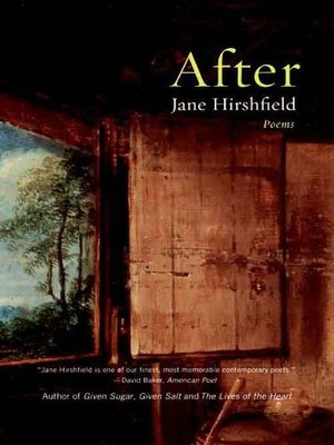 After - ebook